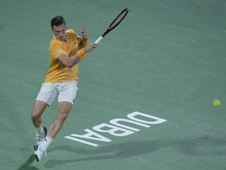 Dubai Tennis Championships
