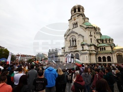 Световното първенство по волейбол - прожекция