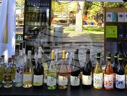 Нова Загора - винарска изба „Едоардо Миролио“