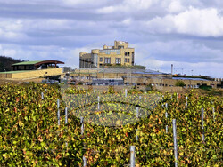 Нова Загора - винарска изба „Едоардо Миролио“