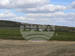 Нова Загора - винарска изба „Едоардо Миролио“