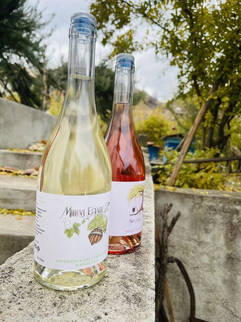 Family Boutique Winery Revives Rare Local Grape Varieties