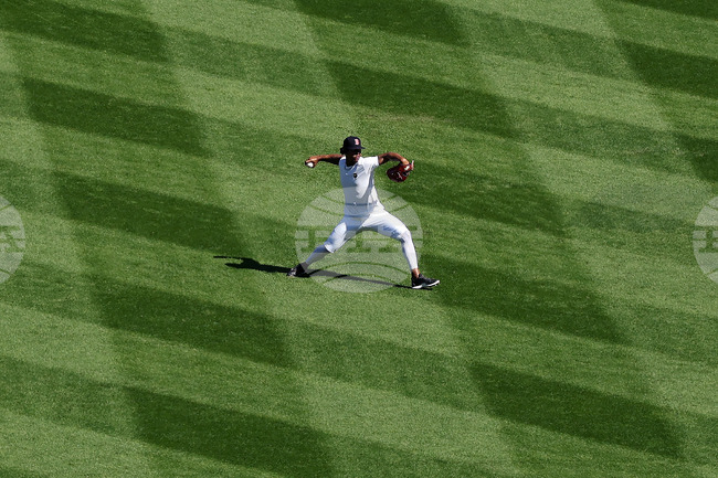 Tigers Red Sox Baseball