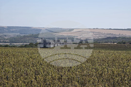 Оряхово - Винарна „Шато Бургозоне“