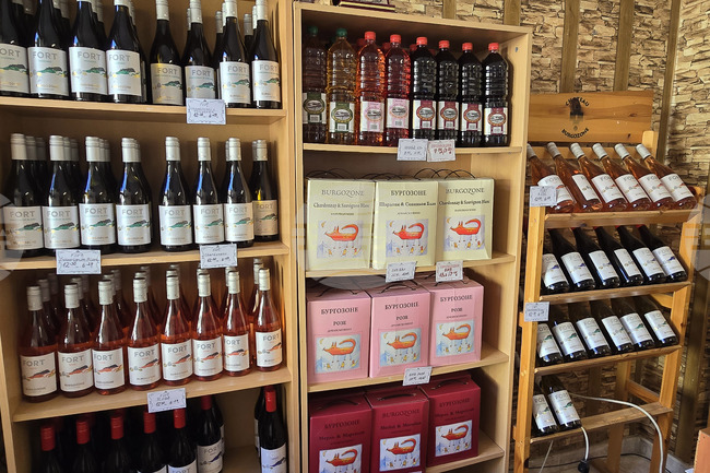 Оряхово - Винарна „Шато Бургозоне“