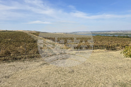 Оряхово - Винарна „Шато Бургозоне“