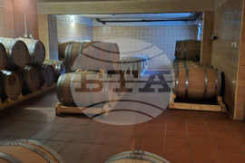 Оряхово - Винарна „Шато Бургозоне“