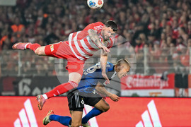 Germany Soccer Bundesliga