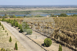 Оряхово - Винарна „Шато Бургозоне“