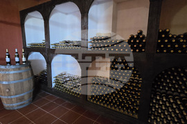 Оряхово - Винарна „Шато Бургозоне“