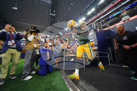 Packers Cowboys Football