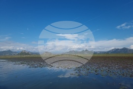 Черна гора - Скадар - Шкодра - Шкодренско езеро