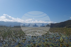 Черна гора - Скадар - Шкодра - Шкодренско езеро