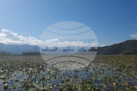 Черна гора - Скадар - Шкодра - Шкодренско езеро