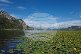 Черна гора - Скадар - Шкодра - Шкодренско езеро