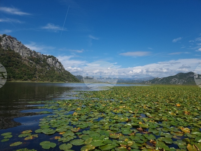 Черна гора - Скадар - Шкодра - Шкодренско езеро