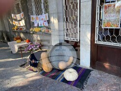 Снимка: Община Стара Загора