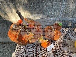 Снимка: Община Стара Загора