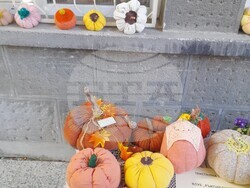 Снимка: Община Стара Загора