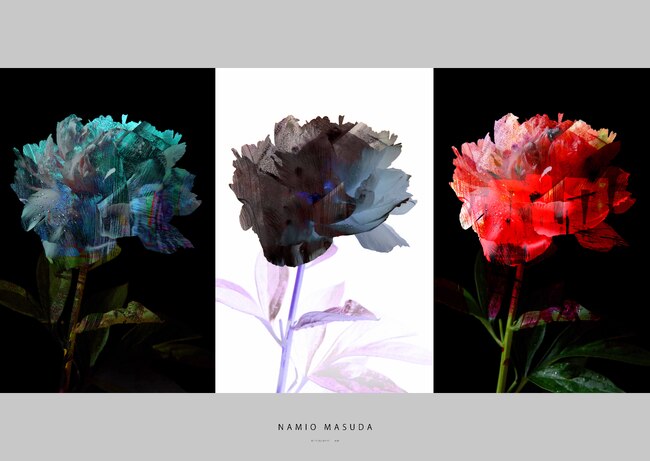 Japanese Spirit to Feature in Japanese Culture Days in Bulgaria