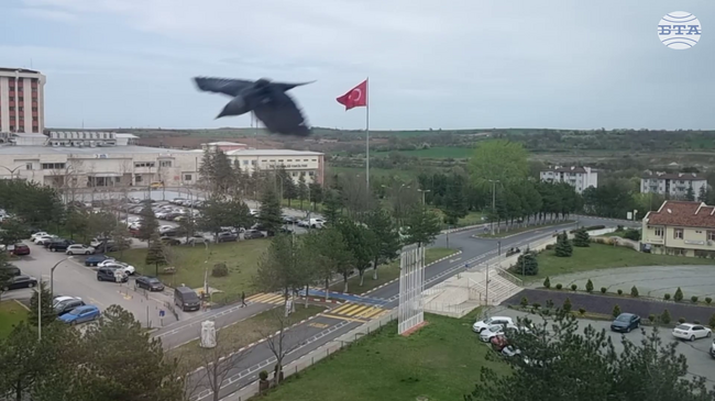 Програмата ИНТЕРРЕГ-ИПП между България и Турция е сред най-успешните в граничните региони в Европа, казва представител на Дирекцията за ЕС на турското МВнР