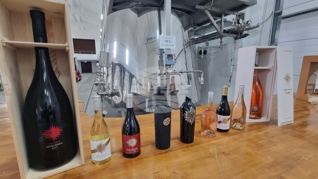 Terra Tangra Winery Produces 500,000 Bottles Annually