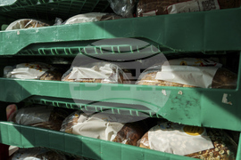 Food Bank Bread Donors