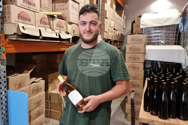 For Wine Tourism to Develop, Sectors Must Work Together, Says Prisoe Winery Owner Stefan Baltadzhiev