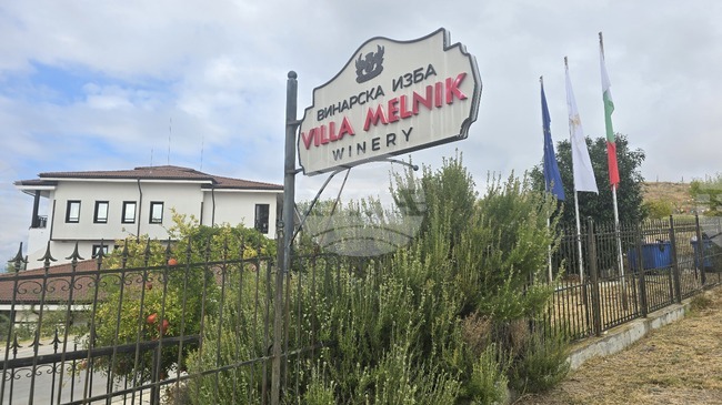 Винарска изба "Вила Мелник" ще отбележи празника на лозарите и винопроизводителите с празнична програма