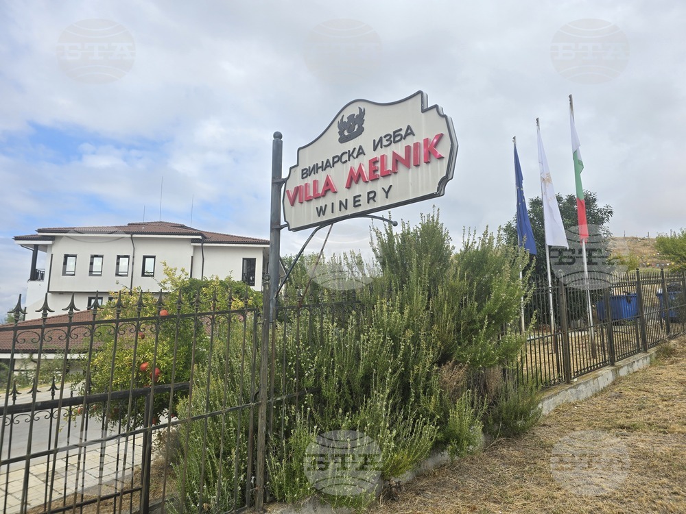 Винарска изба "Вила Мелник" ще отбележи празника на лозарите и винопроизводителите с празнична програма