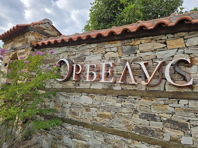 "Орбелус" – първата сертифицирана винарна за биопроизводство у нас