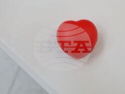 Бургас - Световен ден на сърцето - информационна кампания