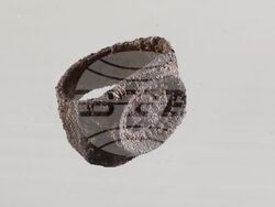 Снимка: Община Стара Загора