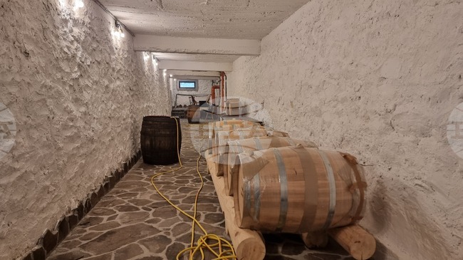 Vino’s Boutique Winery Expands Production in a Region Not Traditionally Known for Viticulture