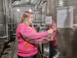 Село Типченица - Винарна „Типченица“