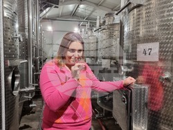 Село Типченица - Винарна „Типченица“