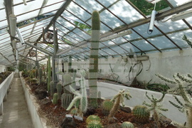 Италия - Рим - Ботаническа градина