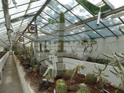 Италия - Рим - Ботаническа градина