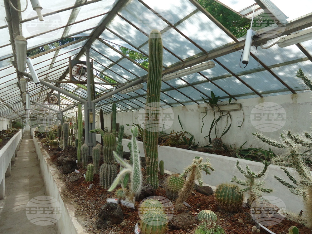 Италия - Рим - Ботаническа градина