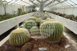 Италия - Рим - Ботаническа градина