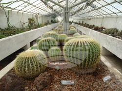 Италия - Рим - Ботаническа градина