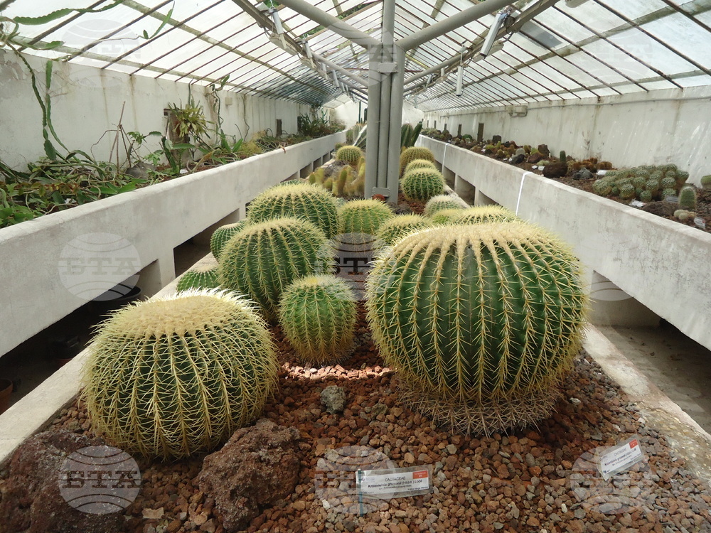 Италия - Рим - Ботаническа градина