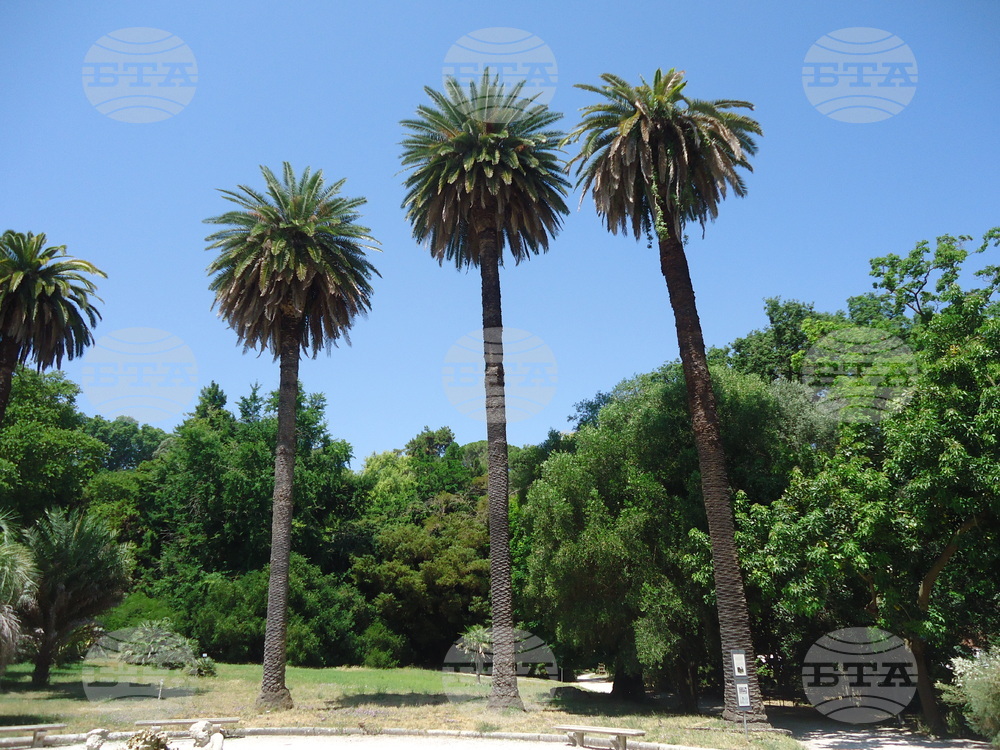 Италия - Рим - Ботаническа градина