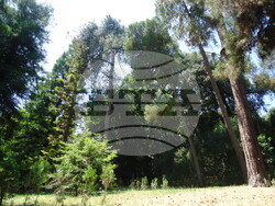 Италия - Рим - Ботаническа градина