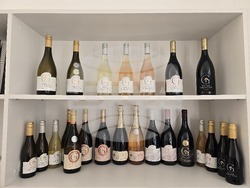 Плевен - Вила Гривица - Вино - изби