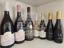 Плевен - изба "Гривица" - собствени лозя