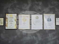 Плевен - изба "Гривица" - собствени лозя