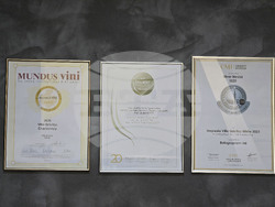 Плевен - изба "Гривица" - собствени лозя