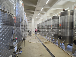 Плевен - изба "Гривица" - собствени лозя