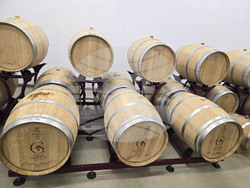 Плевен - изба "Гривица" - собствени лозя